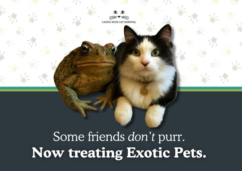 Carousel Slide 2: Learn more about our exotic services here>>