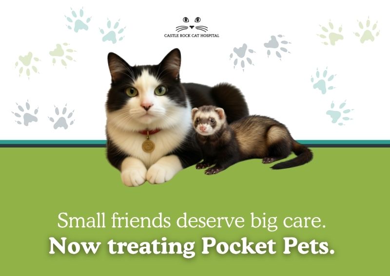 Carousel Slide 4: Learn more about our pocket pet services here>>