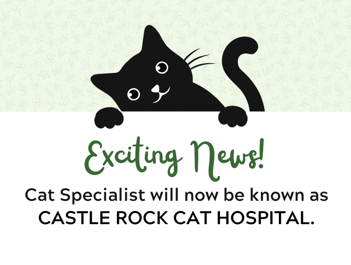 Cat Specialist will now be known as Castle Rock Cat Hospital.